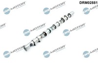 Nockenwelle Dr.Motor Automotive DRM02881 FüR Oe 06F109102B - 06F109102E
