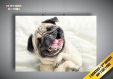 Pug Dog Cute Funny Wall Art Poster