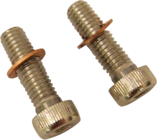 Drag Specialties 8mm Fork Damper Tube Bolt Kit 1977-2017 Harley Dyna Touring