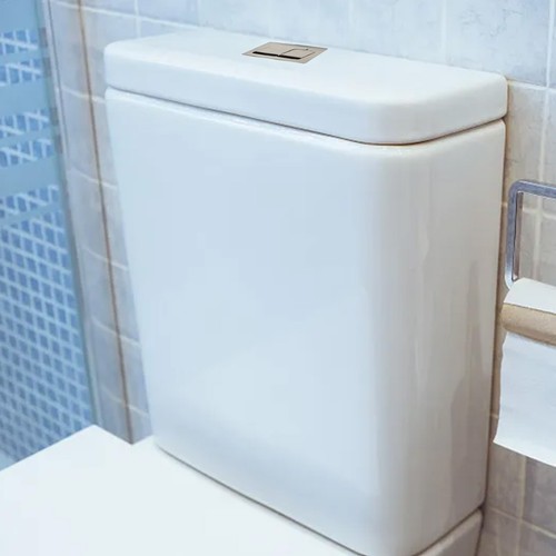 Bouton-Poussoir Double Chasse Toilette Ovale ABS – 76 X 50 X 135 Mm, Tiges Réglables, Remplacement Réservoir WC Facile à Installer