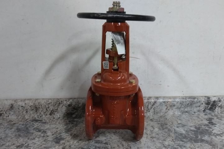 Watts OSY-RW-Gate 3" 3 In Nominal Valve Size 250 Max PSI Cast Iron Gate Valve