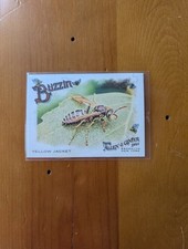2024 Topps Allen & Ginter BB Yellow Jacket #BUZ-13 Buzzin Insert