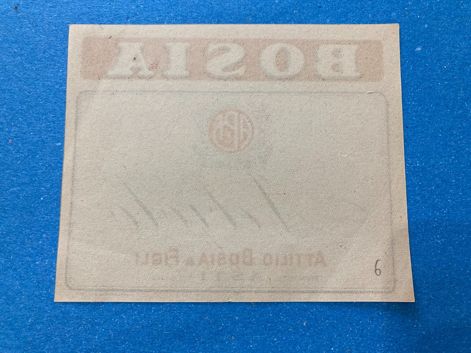 KINGDOM OF ITALY LABEL ATTILIO BOSIA & SONS NEBIOLO ASTI.