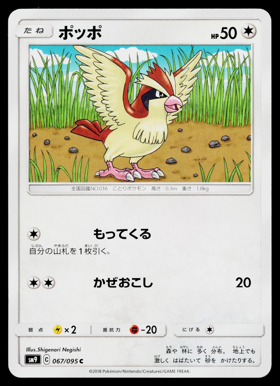 Pidgey 067/095 Common Tag Bolt Pokemon Japanese Lightly Played