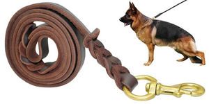 fairwin dog leash