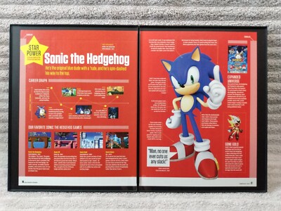 Framed Sonic the Hedgehog profile bio Sega 2011 video game wall art