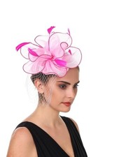 Fascinators Hat Flower Mesh Ribbons Feathers on a Headband Ta2-pink Rose Line