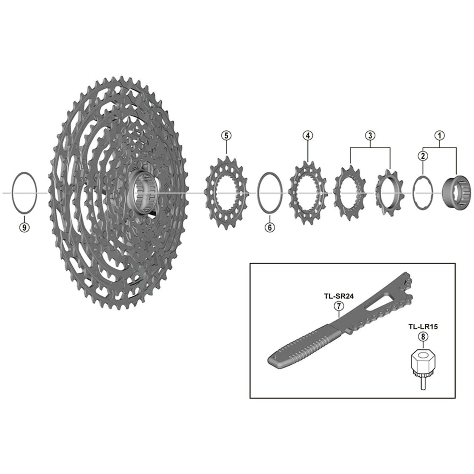 Shimano Spares CS-M9100 sprocket wheel, 10T and 12T