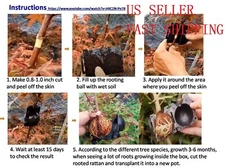 Plant Growing Grafting Rooting Devices Box High Pressure Propagation Ball