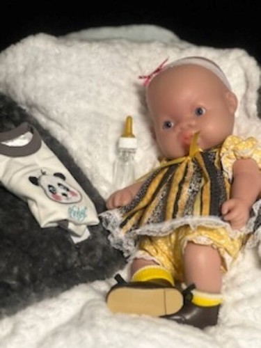 Danke, dass du ein Freund bist! - 3,14 Pfund "Brandy" Vollplatin Silikon Babypuppe 13 Zoll - Bild 14 von 19