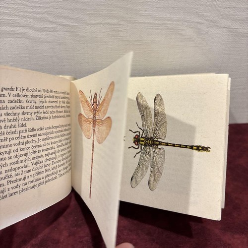 Czech Vintage Insect Encyclopedia Book, Botanical Art, 445 Color Illustrations - Imagen 20 de 20