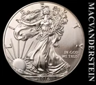 2016 American 1 oz Silver Eagle - Choice Gem Brilliant Unc+++ No Reserve  #L4588