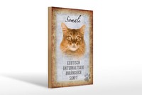 Holzschild Spruch 20X30Cm Somali Katze Geschenk Wanddeko Deko Schild Wooden Sign