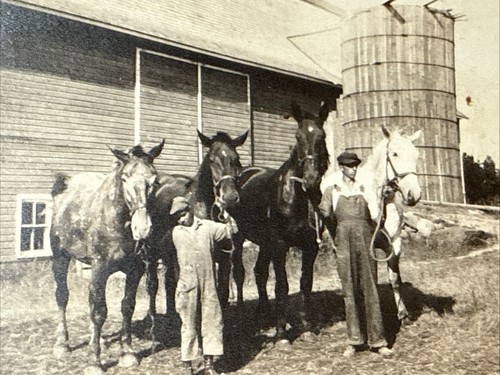 1930s Four Horses Silo Barn vtg Snapshot Photo 2 Older Boys Overalls