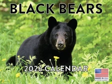 Black Bear Calendar 2026 Monthly Wall Calender 12 Month