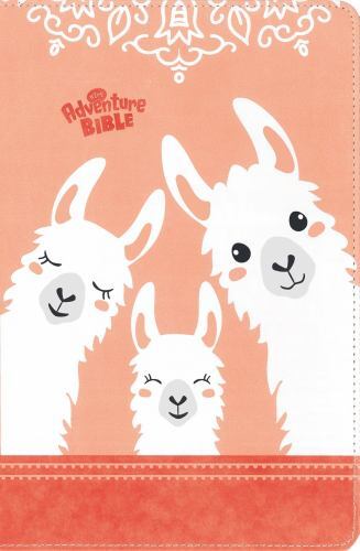 Adventure Bible Ser.: NIrV Adventure Bible for Early Readers, Full Color, ...