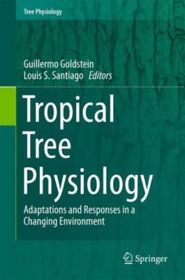 Tropical Tree Physiology | Buch | 9783319274201