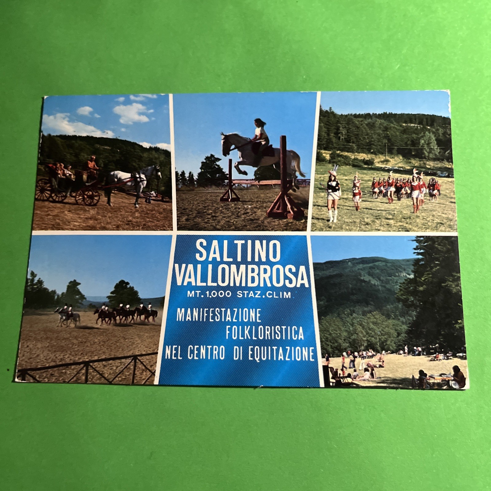 SALTINO VALLOMBROSA STAZ. CLIM. VIAGGIATA - CARTOLINA A COLORI VINTAGE POSTCARD