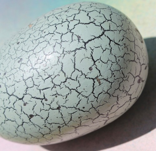 Decorative Primitive Crackle Finish Wood Egg, Collectible - Picture 4 of 5