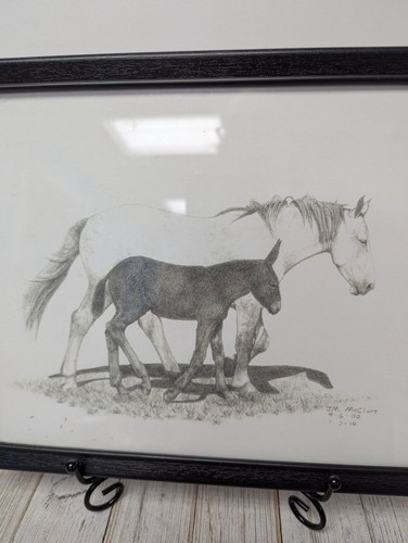 Jane McClure Jane's Prints Cavallo e asino migliori amici stampa incorniciata 10X8" - Foto 2 di 3