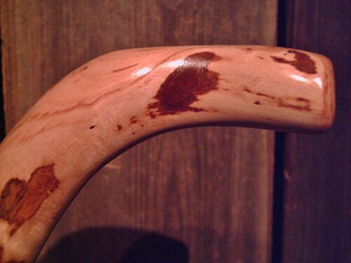 walking stick cane natural grown ROOT HANDLE for average size hands MADE IN USA