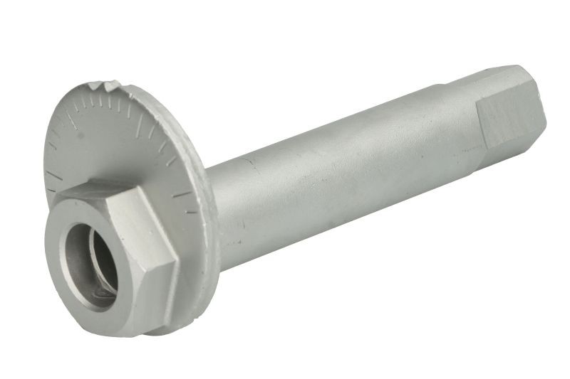 Fits TEDGUM TED76569 Bolt, wheel alignment TED76569 Suspension mounting element
