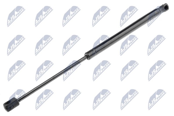 Heckklappen DäMpfer Gasfeder Kofferraum NTY AE-TY-003 FüR Lexus CT 200H ZWA10_-image
