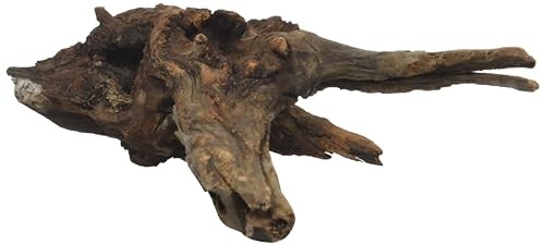 Bois de racine AMTRA Mystic Wood pour créer un aquascaping naturel et ombragé