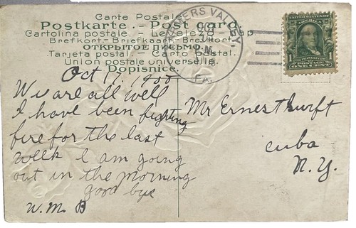 1907 - 1908 FARMERS VALLEY, PA, PINK ROSES EMBOSSED GREETINGS FROM POSTCARD - Picture 2 of 2