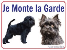 Attention au chien, Je monte la garde plaque ou autocollant Affenpinscher
