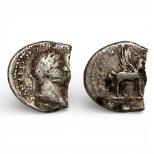 Roman Imperial ar Denarius Coin of Domitian PEGASUS, UK MD find Damaged