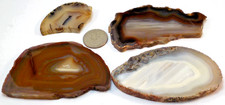 4 Gorgeous Agates Total 7.8 Ounces 1st 5 Pictures Wet #3668