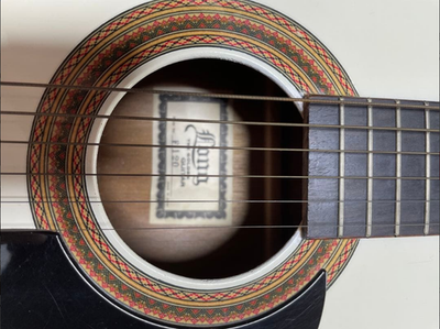 Acoustic Guitar De Luxe Long The Golden Model F120 White Made in