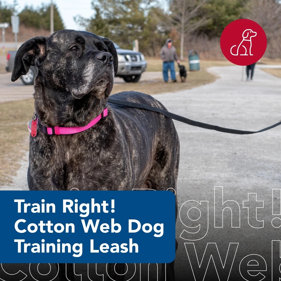 COASTAL Train Right! Trela de algodão preta 5/8" x 10' - Imagem 2 de 4