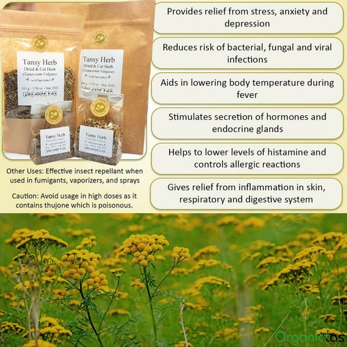 Té de hierbas secas Tansy (Tanacetum vulgare) calidad premium 100% natural 25-200 g - Imagen 4 de 12