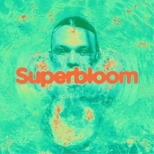 Ashton Irwin Superbloom (Vinyl LP) 12" Album