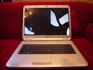 Sony Vaio VGN-NS11M PCG-7143M Display defekt