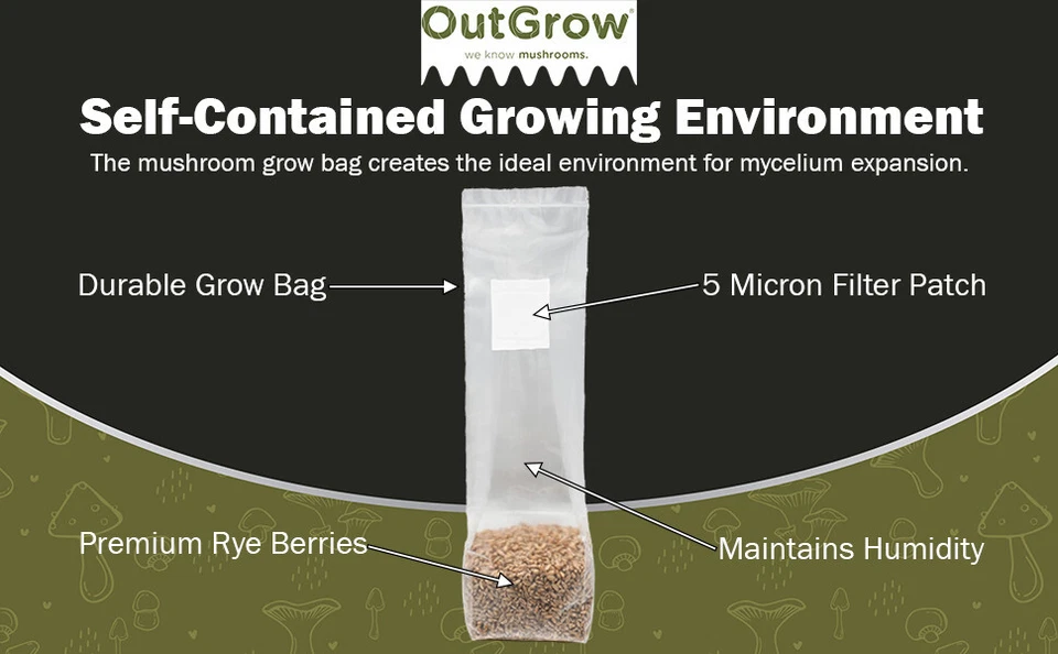 Bolsas de desove de grano de bayas de centeno esterilizadas | Paquete de 6 bolsas de una libra | Out Grow Foto 4 de 4