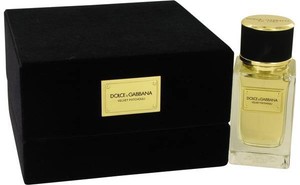 dolce and gabbana velvet patchouli