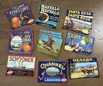 Lot of 16 Vintage California Fruit + Citrus Crate Labels (Some Have Damage)