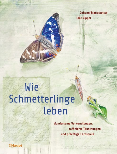 Thumbnail - Wie Schmetterlinge Leben | Johann Brandstetter, Elke Zippel | 2019 |