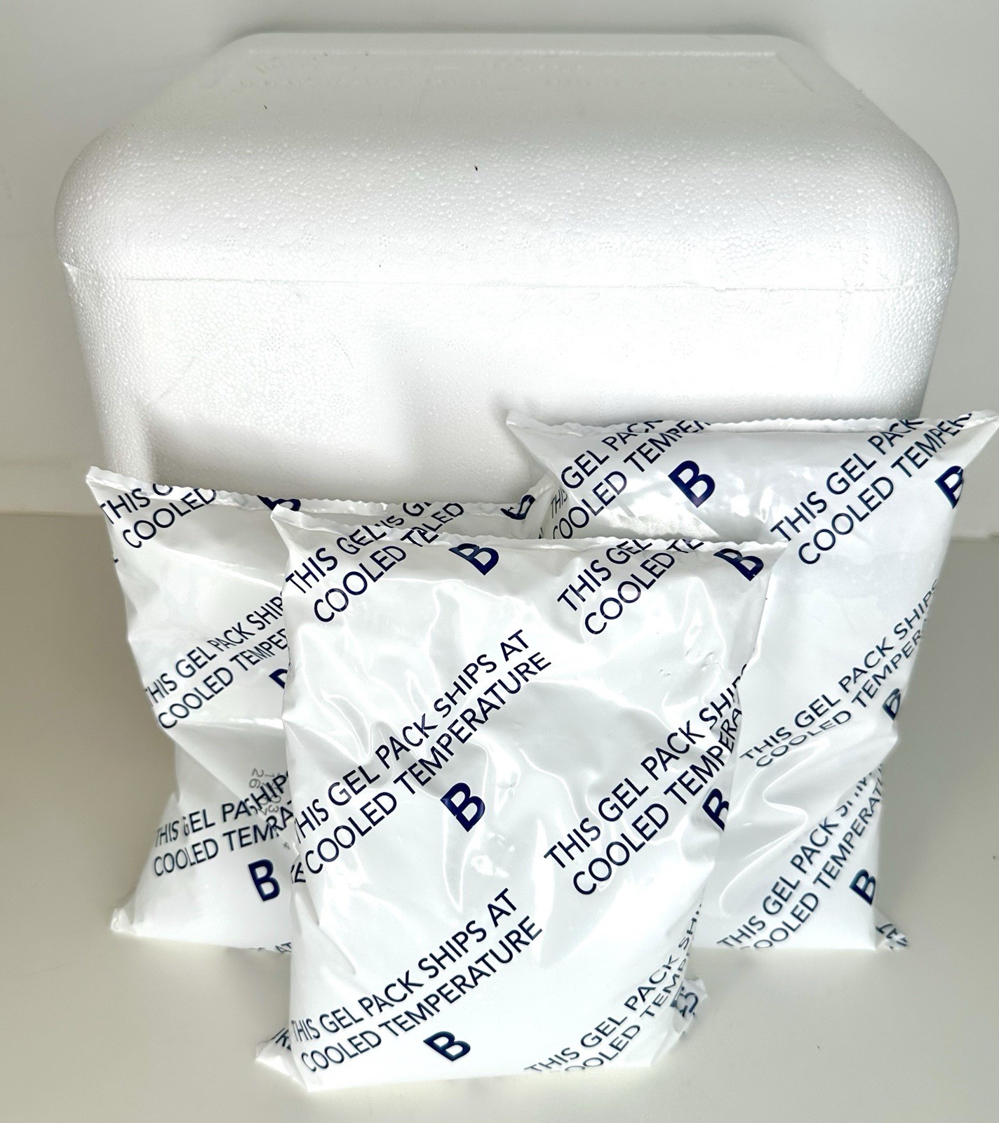 3 LARGE 26 oz Ice Packs Gel Refrigerant B Cold Packs with Cooler, Pristine