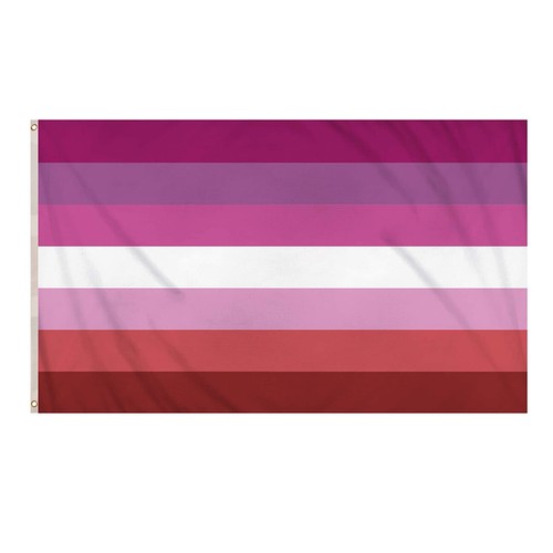 Bandera de lesbiana 5x3 pies grande bandera del orgullo lésbico LGBTQ+ festival desfile fiesta banderas - Imagen 10 de 24