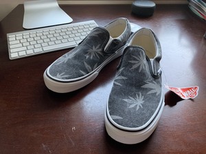 vans mens 420