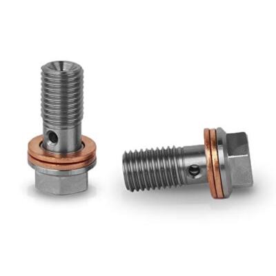 PrecisionGeek Hohlschraube M10x1,25mm Edelstahl Bremssattel 