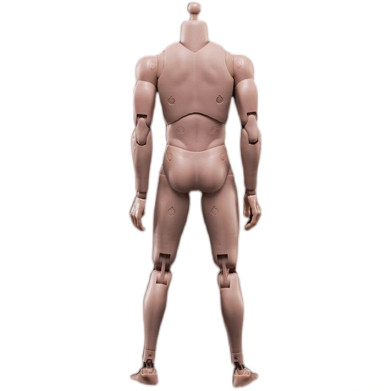 Corps D'action Figure Masculin 1/6 - 12 Pouces (25,5 Cm), Nu, Détaillé, Neuf
