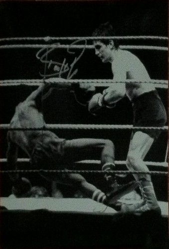6 SIGNIERTE BOXFOTOS MINTER MCGUIGAN MAGRI CONTEH GREEN BUCHANAN MIT COA - Bild 2 von 12