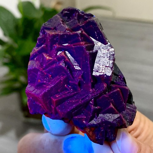 152G Natural black rose fluorescent cube fluorite specimen glow under UV light - Picture 7 of 19