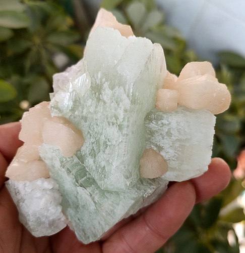 388g Natural beautiful water calcium silicon &apophyllite & stilbite specimen . - Bild 2 von 18