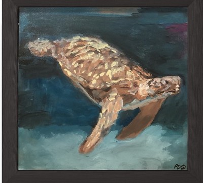 PDQ  Artist Originals Painting Wildlife Turtle Abstract Acrylic 12x12 Art Canvas